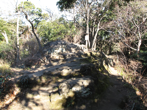 20180110hike (45)
